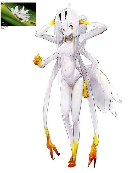 File:83@RQ(NX PT1VL%VM4NPNN3.jpg