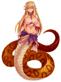 334 lamia L.jpg