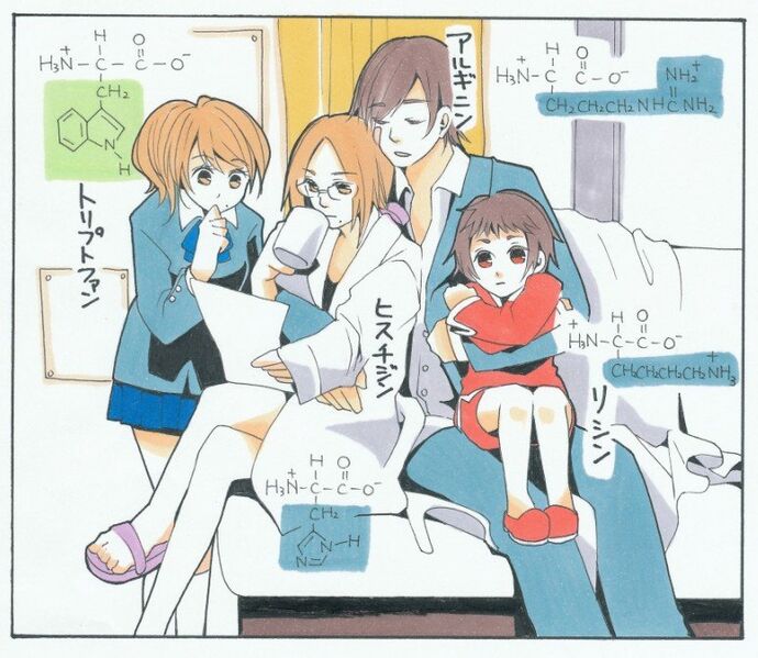 File:14515694 p0.jpg