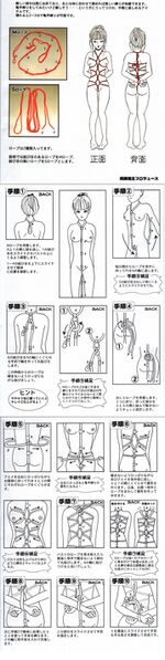 File:460265 1235e5bfabc9806742b2a307b94f65b2.jpg