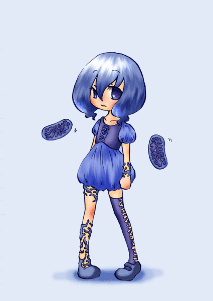 File:18710725 p0.gif